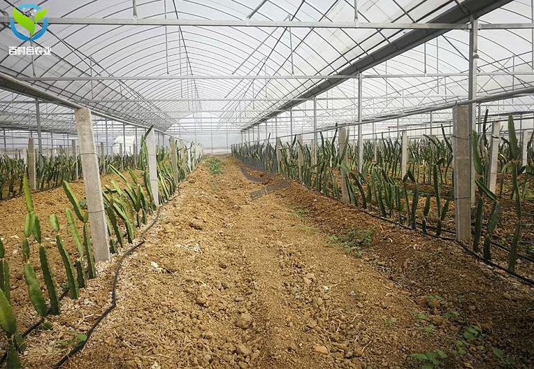 莱西自动农业灌溉系统报价