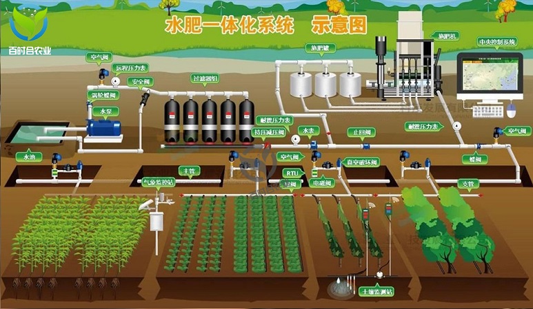 乐陵自动水肥一体化滴灌系统设备
