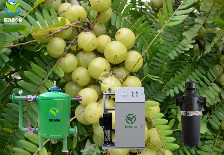 青岛智能水肥一体化设备方案