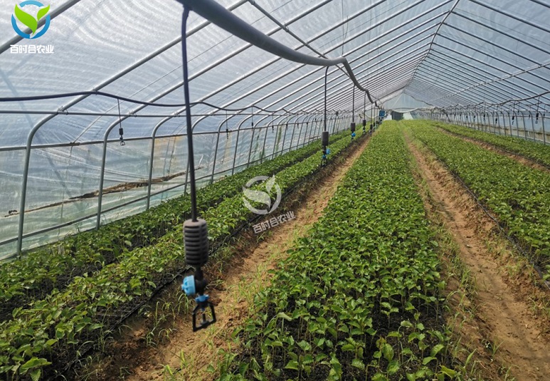 宁波自动农业灌溉系统报价