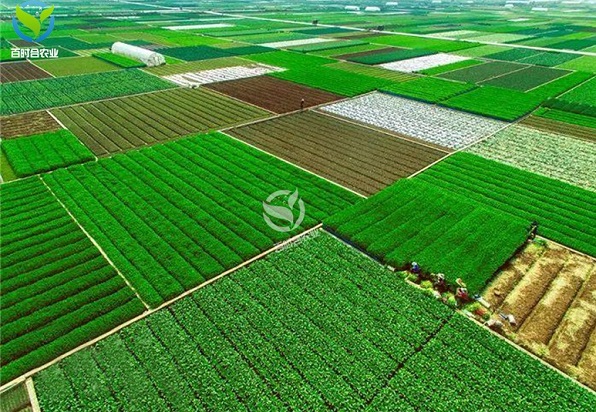 胶州新型智能灌溉系统方案
